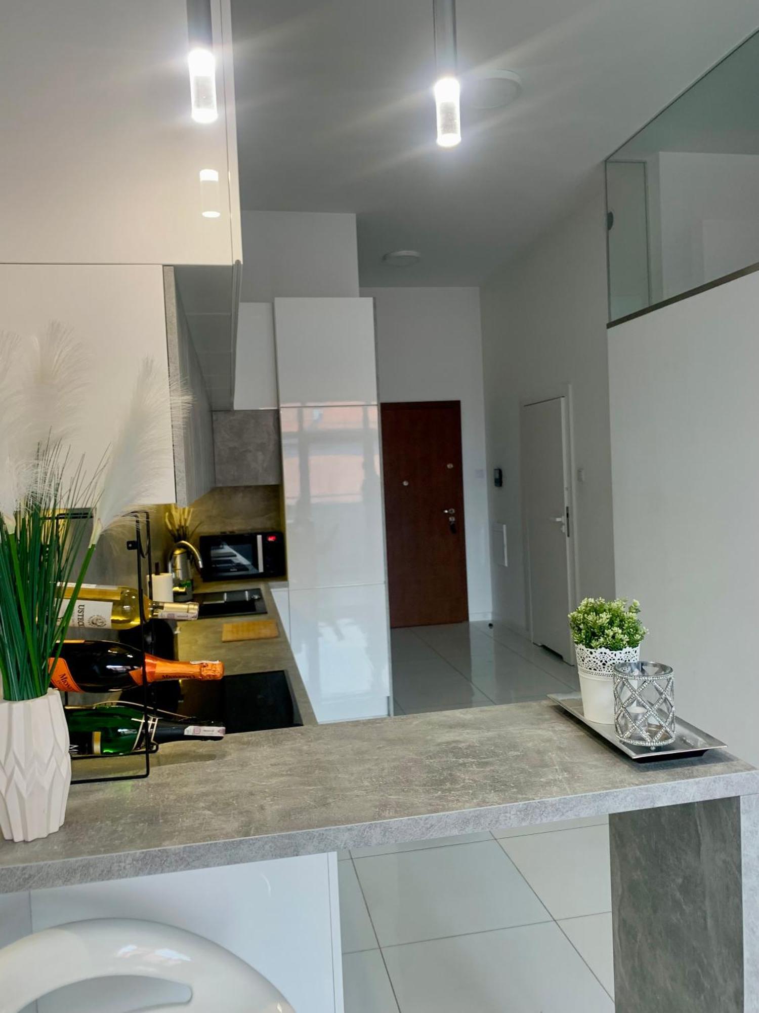 Ekskluzywny Loft Tymienieckiego Apartment Lodz  Exterior photo